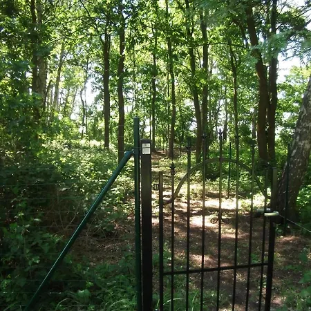 Сasa de vacaciones In Mit Garten, Terrasse Und Grill Und Seeblick